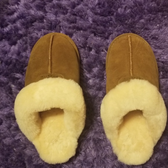 BearPaw Shoes - Barepaw slippers